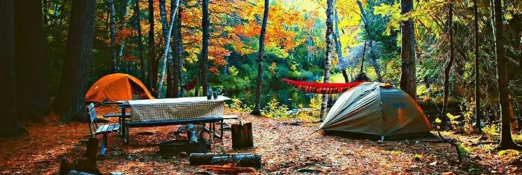 Bastón de montaña ultraliviano