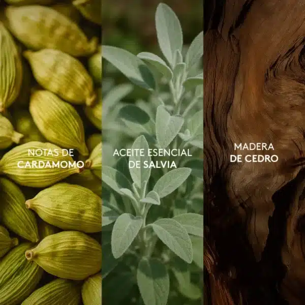 Seduction Absolute Esika Hombre