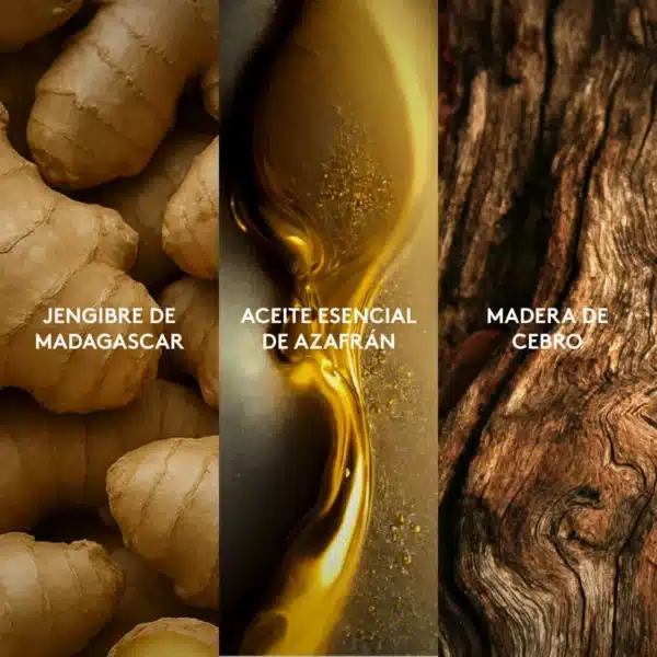 D'orsay Grand Esika Hombre