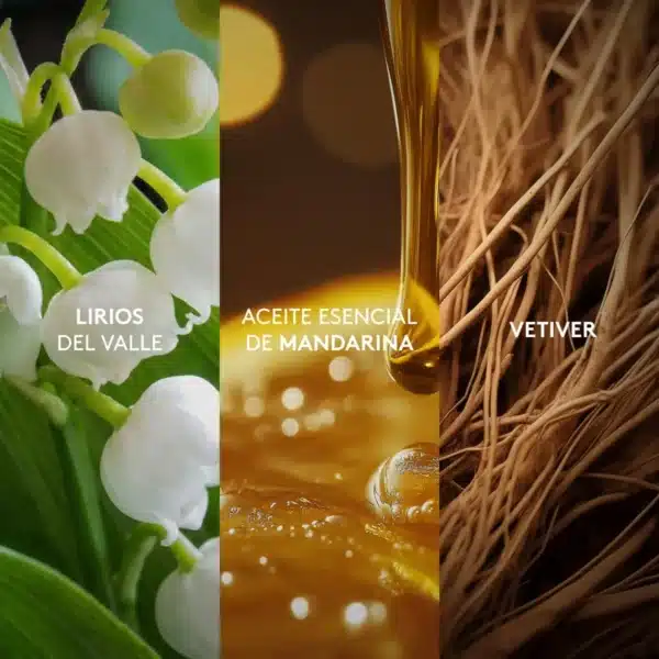 City Love Esika mujer